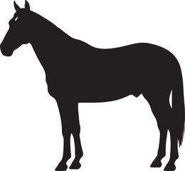 Dartmoor Pony Silhouette Vector Illustration
