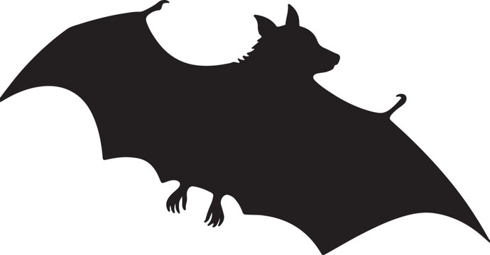 Indian Flying Fox Silhouette Vector Illustration