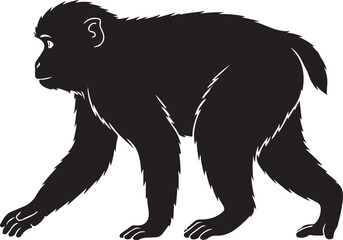 Japanese Macaque Silhouette Vector Illustration