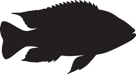 Lake Malawi Cichlid Silhouette Vector Illustration