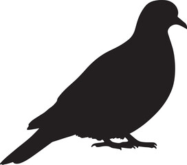 Ochre-bellied Dove Silhouette Vector Illustration