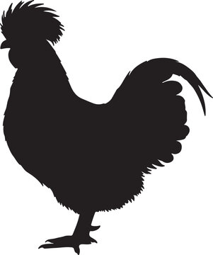 Paduan Chicken Silhouette Vector Illustration