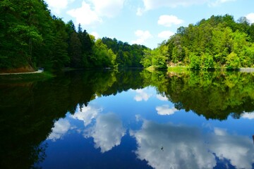 Green trees mirroring in the lake with blue sky, clouds, and reflection in green nature 