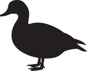 Radjah Shelduck Silhouette Vector Illustration