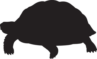 Red-Footed Tortoise Silhouette Vector Illustration