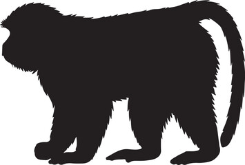 Red-Tailed Monkey Silhouette Vector Illustration