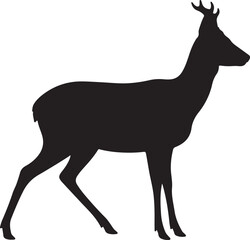 Roe Deer Silhouette Vector Illustration