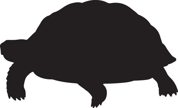 Red-Footed Tortoise Silhouette Vector Illustration