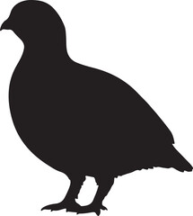 Sand Grouse Silhouette Vector Illustration