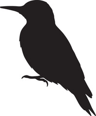 Sapsucker Bird Silhouette Vector on White Background