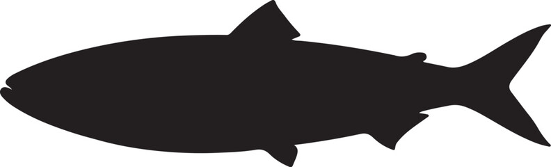 Sardine Fish Silhouette Vector on White Background