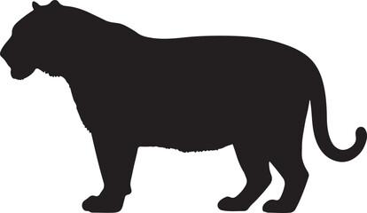 Tiger Big Cat Silhouette Vector on White Background