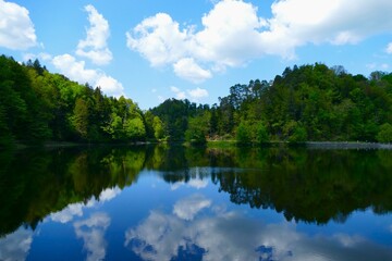Green trees mirroring in the lake with blue sky, clouds and reflection
