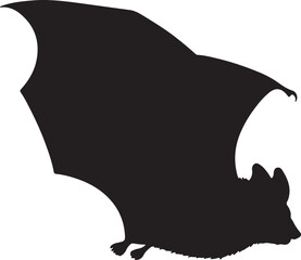 Vampire Bat silhouette on white background