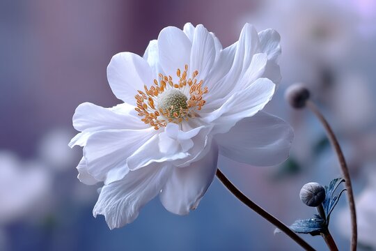A serene white flower blossom close-up, isolated on a diffrent collers background, symbolizing purity and natural beauty.