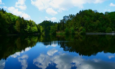 Fototapeta premium Green trees mirroring in the lake with blue sky, clouds, and reflection in green nature