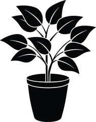 vector potted plant with leaves on white backgroud.eps