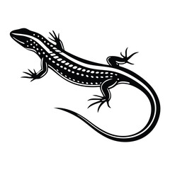 Lizard Silhouette with Stripe and Spots, Curled Tail, Reptile Animal on White