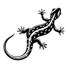 Black and White Spotted Gecko with Curled Tail Isolated on White Background Art