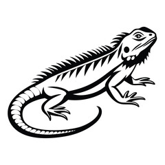 Monochrome Iguana Lizard Silhouette, Isolated Exotic Reptile, Black and White Reptilian Art