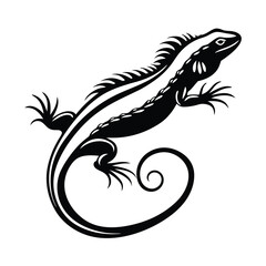 Simple Black Lizard with Spiked Back and Curled Tail on White Surface