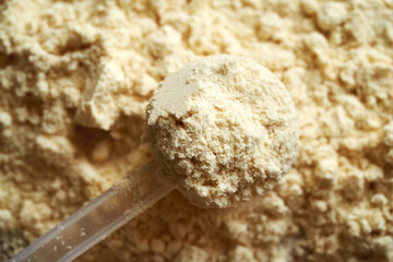 Whey protein powder - healthy nutritional supplement