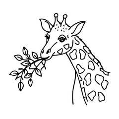 giraffe eating leaves icon, giraffe eating leaves vector illustration-simple illustration of giraffe eating leaves, perfect for giraffe eating leaves logos and icons