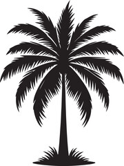 Tropical Beach Palm Tree  vector, illustration