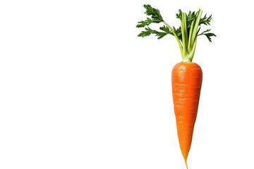 Fresh vibrant orange carrot on grey background healthy vegetable beautiful natural image simple food
