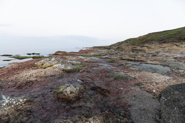 Seaweed-covered rocky shore in Igneada, Turkey
Wide-angle coastal view of Begendik in Demirkoy, Kirklareli, Turkey, showing seaweed-covered rocks, calm waters, and a soft April horizon.

