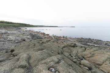 Seaweed-covered rocky shore in Igneada, Turkey
Wide-angle coastal view of Begendik in Demirkoy, Kirklareli, Turkey, showing seaweed-covered rocks, calm waters, and a soft April horizon.
