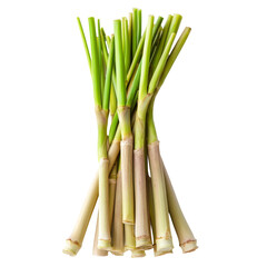 Fototapeta premium Fresh lemongrass stalks arranged neatly on a transparent background, ready for culinary use and flavorful herbal infusions, fresh slice lemongrass on transparent background