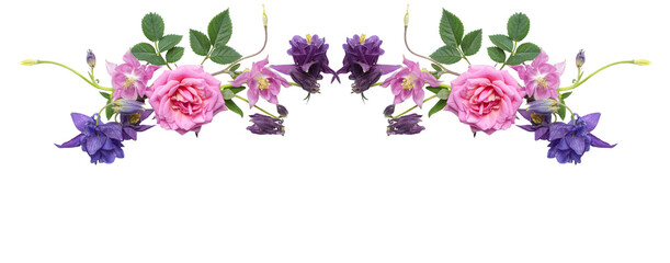 Botanical flower border with pink roses and purple columbines. Decorative floral edge isolated on transparent background, perfect for wedding invitations, cards, and packaging.

