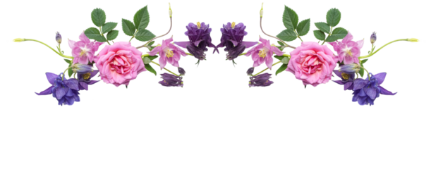 Botanical flower border with pink roses and purple columbines. Decorative floral edge isolated on transparent background, perfect for wedding invitations, cards, and packaging.
