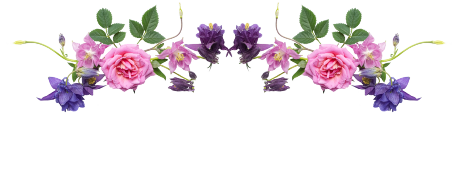 Botanical flower border with pink roses and purple columbines. Decorative floral edge isolated on transparent background, perfect for wedding invitations, cards, and packaging.
