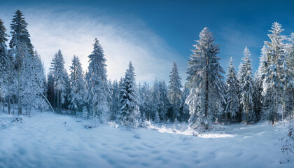 frozen winter forest panorama fantasy landscape
