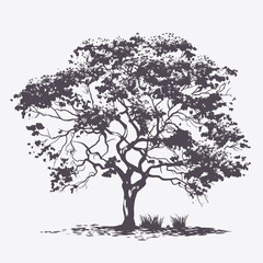 Illustration of a flowering tree blossom branches trunk nature botanical art springtime garden flora