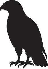 Ferruginous Hawk Vector Silhouette
