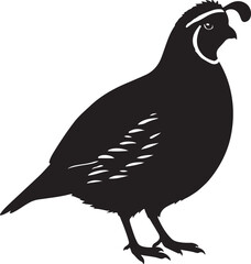 Gambel’s Quail Vector Silhouette