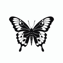 Black butterfly vector illustration insect design wings nature pattern art decoration graphic element drawing