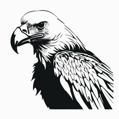 Obraz premium Eagle bird animal wildlife predator nature hawk drawing illustration black white art design vector graphic silhouette