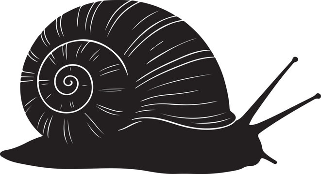 Nerite Snail Vector Silhouette