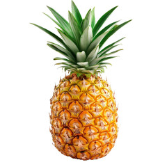Fototapeta premium Fresh pineapple showcasing its vibrant yellow exterior and spiky green crown against a clean, transparent backdrop, Sliced pineapple isolated on transparent background