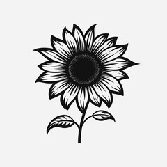 Fototapeta premium Sunflower flower floral blossom bloom botanical plant leaves petals black white illustration drawing art silhouette