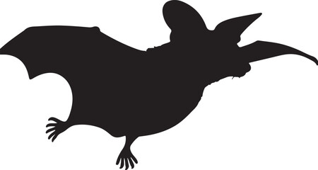 Queensland Tube-nosed Bat Vector Silhouette