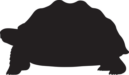 Radiated Tortoise Vector Silhouette