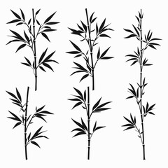 Obraz premium Bamboo black and white illustration vector graphic design template nature oriental zen japan asia flora art silhouette
