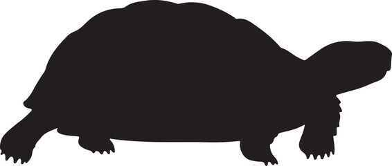 Red-Footed Tortoise Vector Silhouette