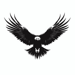 Obraz premium Eagle bird animal wildlife nature black white wings flying predator freedom strength american bald eagle silhouette