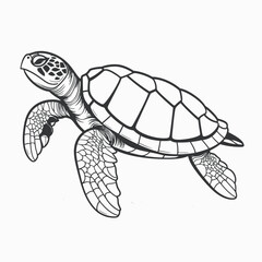 Turtle outline drawing sea animal ocean reptile marine life aquatic wildlife illustration black and white art silhouette